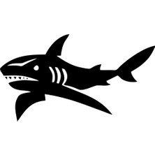 Sticker Master Köpek Balığı Sticker Oto Motor Pc Etiket