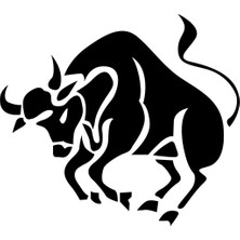 Sticker Master Boğa Sticker Oto Motor Pc Etiket