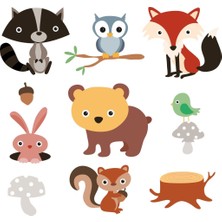 Sticker Master Orman Hayvanları Çocuk Odası Sticker Oto Motor Pc Etiket