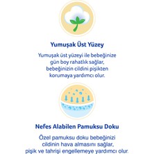 Evy Baby Bebek Bezi 5 Beden Junior Dev Paket 40 Adet