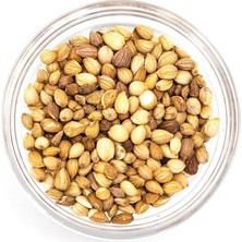 Katkı Dünyası Mahlep Tane 100 gr