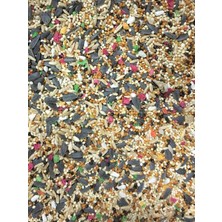 Woddy Paraket Papağan Yemi 2.5 Kg