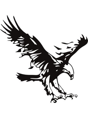 Sticker Master Kartal Sticker-3 Oto Motor Pc Etiket