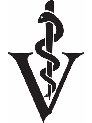 Sticker Master Veteriner Hekim Doktor Sticker Oto Motor Pc Etiket