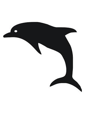 Sticker Master Yunus Sticker Oto Motor Pc Etiket