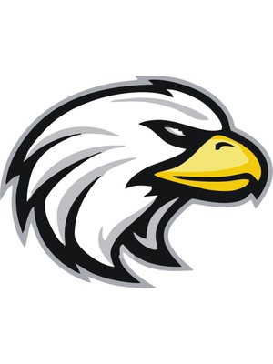 Sticker Master Kartal Sticker Oto Motor Pc Etiket