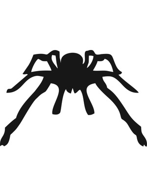 Sticker Master Tarantula Sticker Oto Motor Pc Etiket
