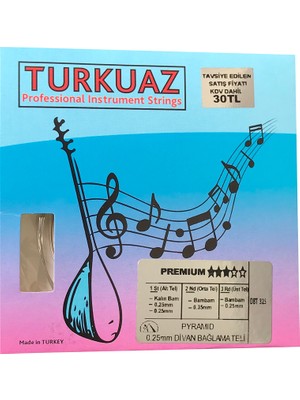 Turkuaz Dbt325 0.25 Mm Pyramid + İpek Bamlı Takım Tel Divan Bağlama Teli 025