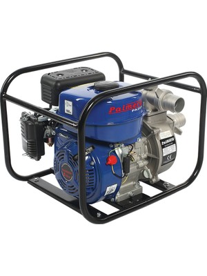 Palmera  Pa 20T Benzinli Su Motoru 2''