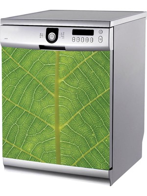 Tilki Dünyası Yaprak Çizgileri Bulaşık Makinası Stickerı