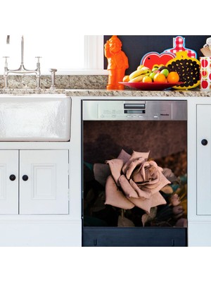 Tilki Dünyası Kağıt Gül Bulaşık Makinası Kapak Stickerı