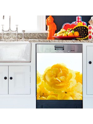 Tilki Dünyası Sarının Büyüsü Bulaşık Makinası Kapak Stickerı
