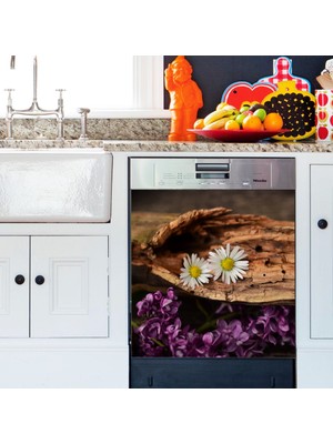 Tilki Dünyası Ağaç İçinde Papatyalar Bulaşık Makinası Kapak Stickerı