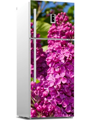 Tilki Dünyası Buzdolabı Kapağı Kaplama Sticker 0239