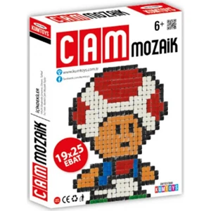 Cam Mozaik