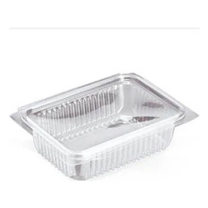 Sızdırmaz Kendinden Kapaklı Plastik Kap 750 gr (100'lü)