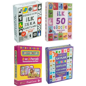Eğitici Zeka Kartları 4'lü Set