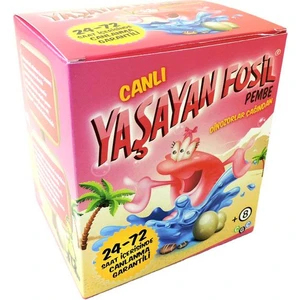 Yaşayan Fosil Pembe Canlı Triops Yetiştirme Kiti