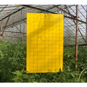Yellow Sarı Yapışkan Tuzak Beyaz (25 cmx40 cm)