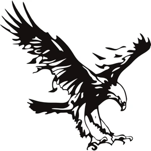 Sticker Master Kartal Sticker-3 Oto Motor Pc Etiket