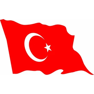 Sticker Master Dalgalı Türk Bayrağı Sticker(15CM) Oto Motor Pc Etiket