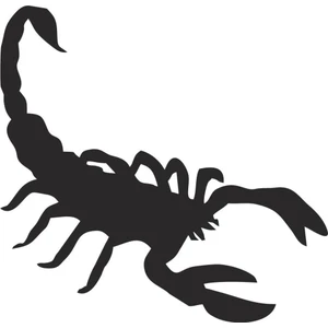 Sticker Master Akrep Sticker Oto Motor Pc Etiket