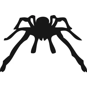 Sticker Master Tarantula Sticker Oto Motor Pc Etiket