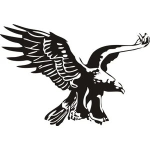 Sticker Master Kartal Sticker Oto Motor Pc Etiket