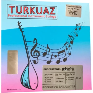 Dbt225 0.25 Mm Çelik + İpek Bamlı Takım Tel Divan Bağlama Teli 025