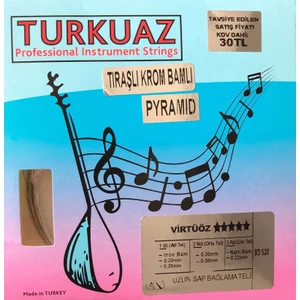Bd520 .20 Mm Pyramid + Krom Bamlı Takım Tel Uzun Sap Bağlama Teli 020