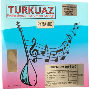 Cg318 0.18 Mm Pyramid + İpek Bamlı Takım Tel Kısa Sap Bağlama Teli 018
