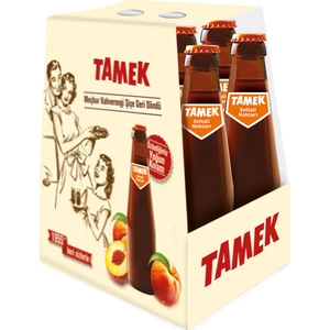 Efsane Şişe Şeftali Nektarı 200 ml x 6