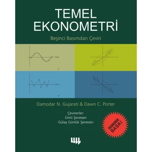 Temel Ekonometri 5. Basımdan Çeviri (Ekonomik Baskı) - Damodar N. Gujarati - Dawn Porter
