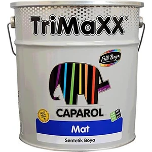 Filli Boya Caparol Trimaxx Mat Siyah 2.5Lt