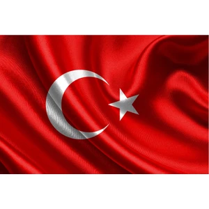 Gönder Bayrak Türk Bayrağı 80 x 120 cm