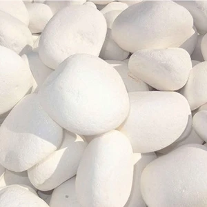 Yalova Fidan Market Dolomite Doğal Dekoratif Taş 2-4 cm 10 KG
