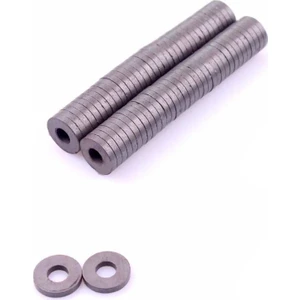 50 Adet Delikli Yuvarlak Mıknatıs 25Mm