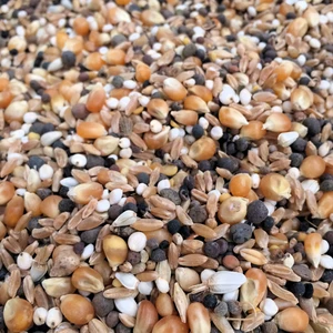 AslimlarGüvercin Yemi 1 kg
