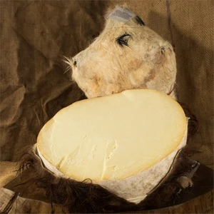 Gurmepark Ermenek Tulum Peyniri 500gr