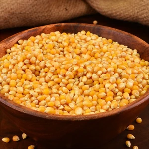 Cin Patlatmalık Mısır 1 kg