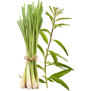 Mutlu Sebzeler Limon Grass ( Limon Kamışı ) (1 Paket)