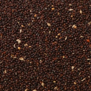 Siyah Darı 1 kg Kuş Yemi