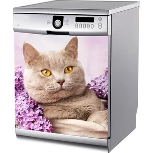 Tilki Dünyası Sevimli Kedicik Bulaşık Makinası Stickerı
