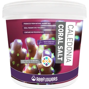 Caledonia Coral Salt 22,5 kg