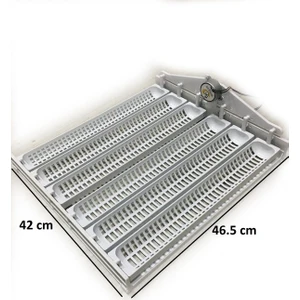 Kulucka Kaz Viyölü