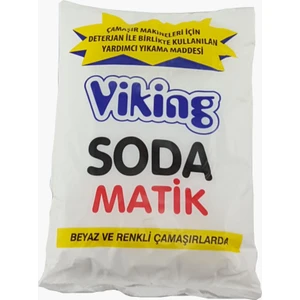 Toz Soda 500g