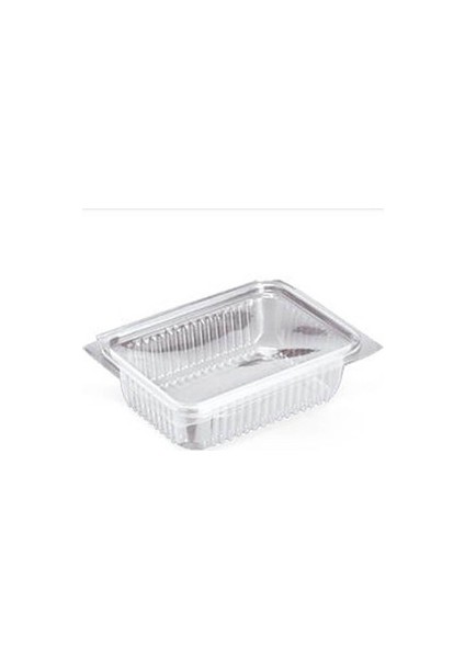 Sızdırmaz Kendinden Kapaklı Plastik Kap 750 gr (100'lü)
