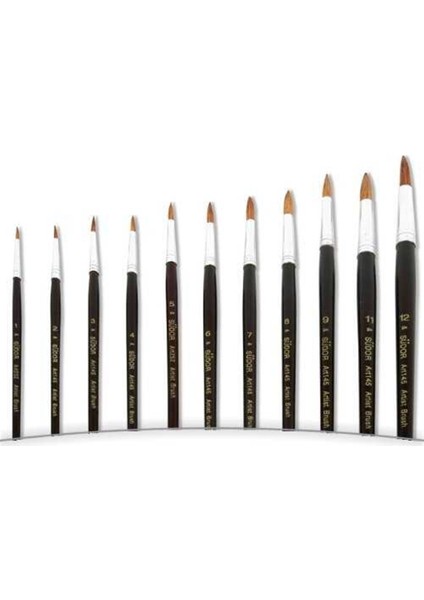 145 Sulu Boya Fırçası No 1