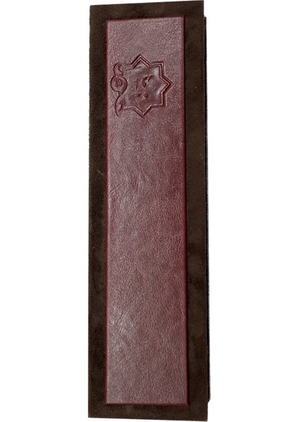 Santur İçin Profesyonel Mızrab Ve Hard Case