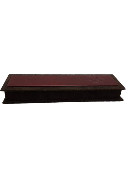 Santur İçin Profesyonel Mızrab Ve Hard Case